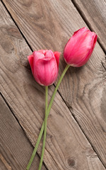 Fototapeta na wymiar beautiful pink tulips on old wooden background