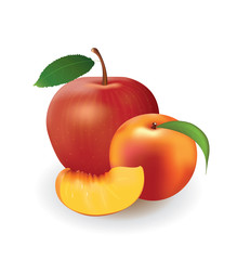 Apple and peach on white background, vector