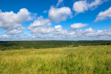 Fototapeta na wymiar Falevsky mounds, Russia