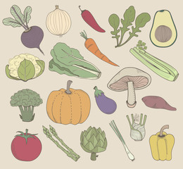 Illustration of vegetable background