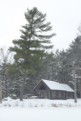 Midwestern winter landscape in January or February with frost and natural beauty outdoors.
