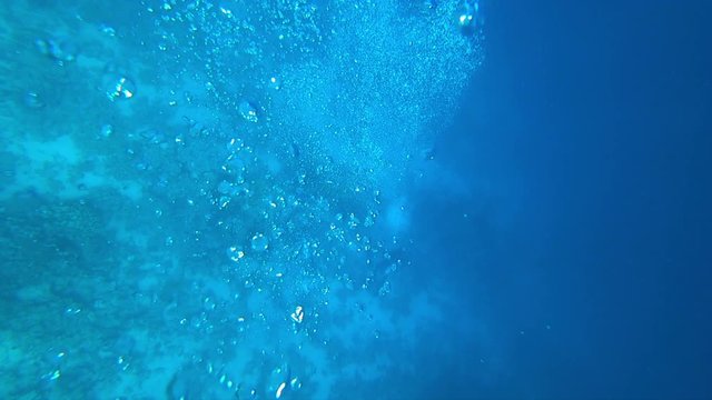 Air bubbles rise to the top, from the seabed by the underwater