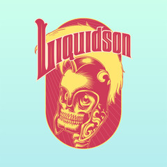 V99-Binn-Ning-Liquidson