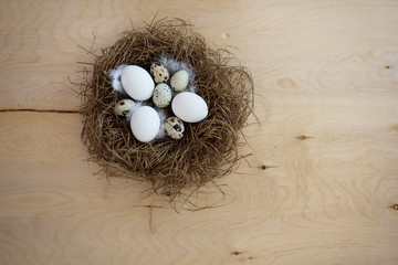 Raw eggs in a nest. Top view