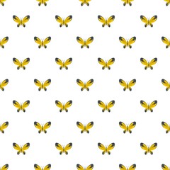 Wide wing butterfly pattern seamless in flat style for any design