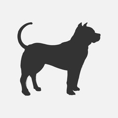 Illustration of dog isolated on background