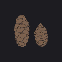 Fototapeta premium Illustration pinecone isolated on background