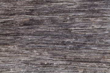 Wood textures from close up perspective