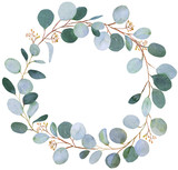 Wedding greenery wreath. Watercolor illustration with eucalyptus.