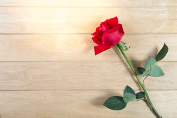 Naklejka na ściany i meble Red rose on the old wood. valentine concept.