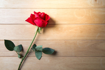 Red rose on the old wood. valentine concept.