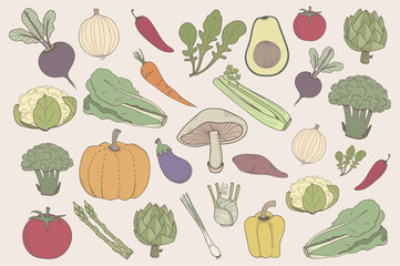 Doodles of vegetable isolated on background