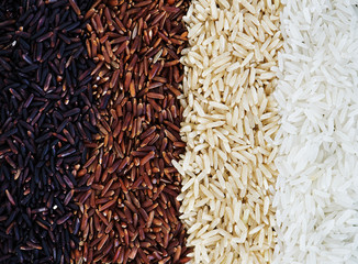 Closeup of mixed rice