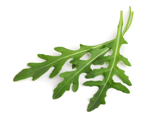 Green fresh rucola or arugula leaf isolated on white background macro