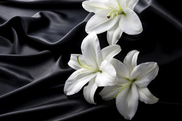 黒色のサテンと白いユリ