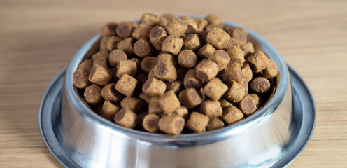 Dry dog treats in bowl