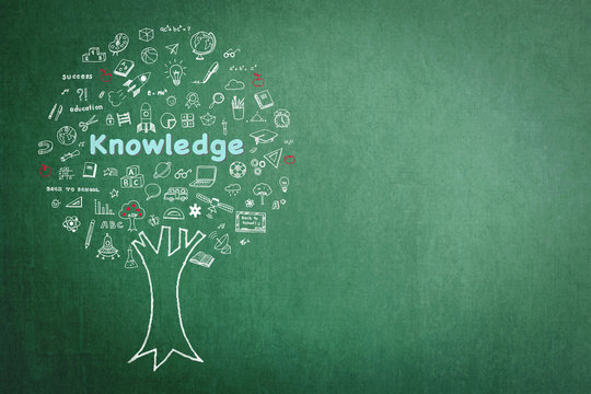 Tree of knowledge education concept on green chalkboard background with doodle