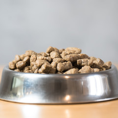 Dry dog treats in bowl