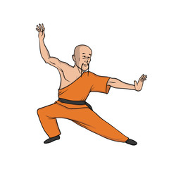 Shaolin monk practicing kung fu or wushu. Martial art. Vector illustration, isolated on white background.