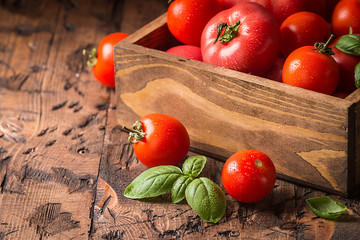 fresh tomatoes in a wooden crate