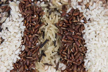 Mix of different varieties of rice