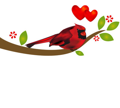 Red bird cardinal on a branch tree template background vector with copyspace