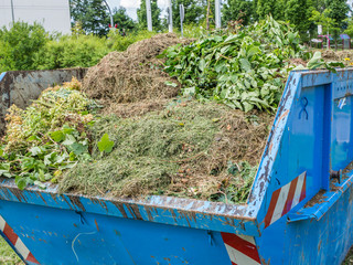 Container mit Gartenabfällen