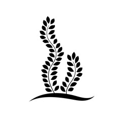 Black and white seaweed plant with leaves floral logo, vector