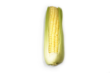 Corn on white background