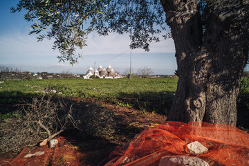 Landscapes of Puglia