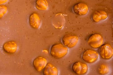 Background of the dark chocolate with a hazelnuts