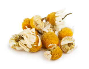 Dried chamomile flowers isolated on white background.