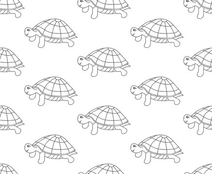Turtle Seamless on White Background