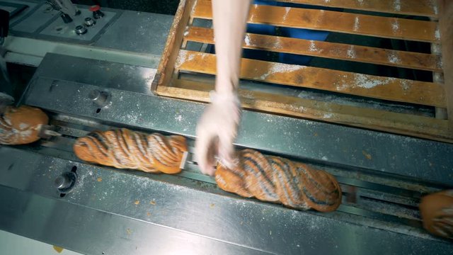 Sweet bread covered with poppy seeds and sugar gets unloaded into a packing machine. 4K.