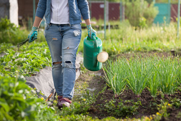 Young woman watering plants and flowers in the garden at summertime. Gardening girl watering flowers with blue watering can on a sunny day. Working in the garden.