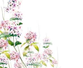 watercolor painting of leaves and flower, on white background