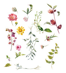 watercolor painting of leaves and flower, on white background