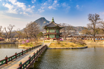 Fototapeta premium Wiosna w pałacu Gyeongbokgung, Seul, Korea Południowa