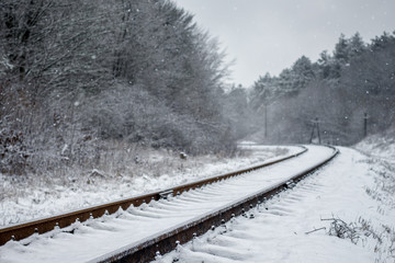 winter landscape, the railway track goes into the distance, on the sides - the forest