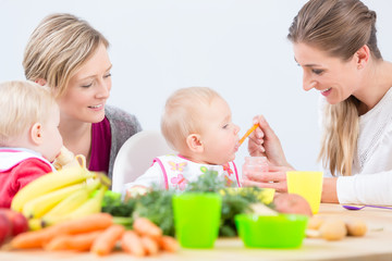 Obraz na płótnie Canvas Portrait of a cheerful woman and young mother of a cute baby girl, learning from her best friend how to prepare healthy solid food from natural ingredients