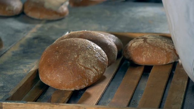 A worker collects hot round bread loaves into a wooden tray for packing.   