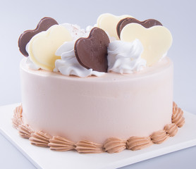 cake. chocolate ice cream cake on background