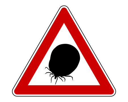 Warnschild Zecke auf weiss