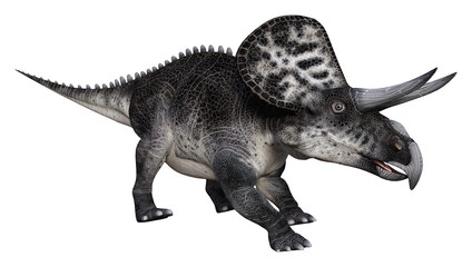 3D Rendering Dinosaur Zuniceratops on White
