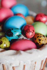 Easter. Colored eggs of chicken and quail lie in a wicker basket.