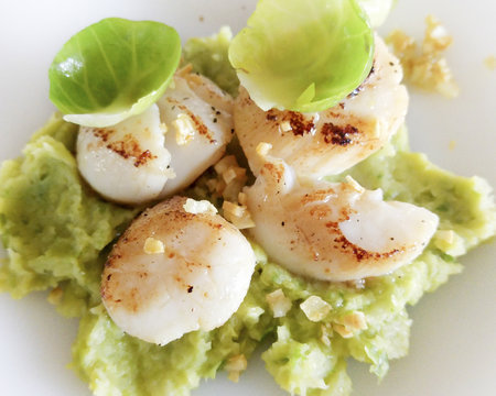 Noix de Saint-Jacques sur pur&eacute;e de choux de Bruxelles
