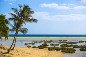 Obraz na płótnie Canvas Sotavento Beach in Fuerteventura, Canary Islands, Spain 