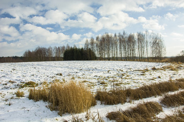 Snow in the field, dry grass, trees and clouds in the sky