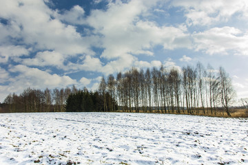 Snow in the field, trees and clouds in the sky