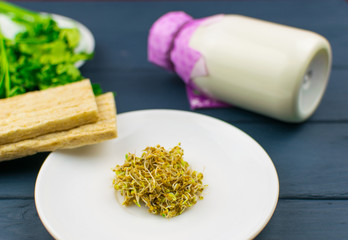 Food sprouts, sprouted grains of clover on a white plate.